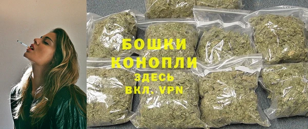 спиды Тында