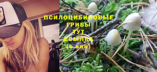 МДМА Протвино