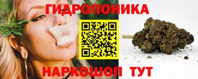 шишки Абинск