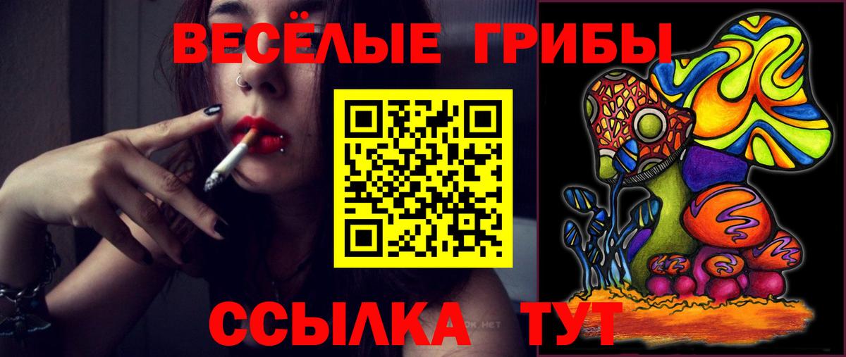 Галлюциногенные грибы GOLDEN TEACHER  Псилоцибиновые грибы Psilocybine cubensis  Абинск  наркотики  Вход с VPN 